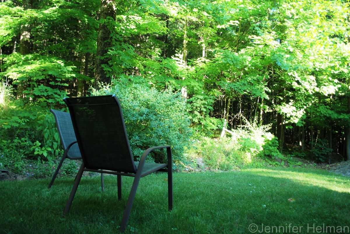 Outdoor Area in Back  